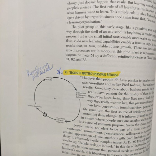 The Dance of Change book like new, Peter M. Senge