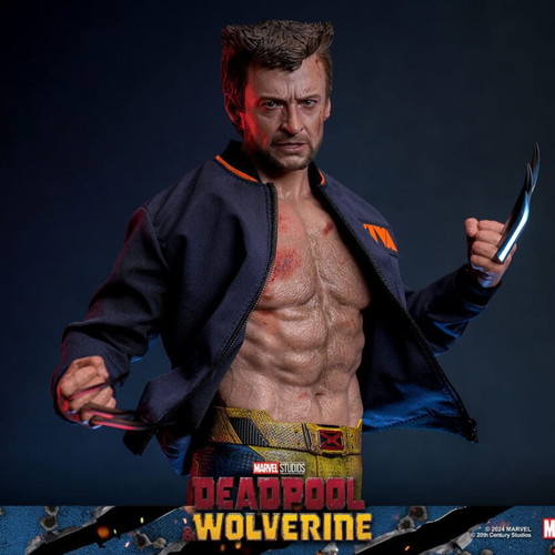 Hot Toys Wolverine TVA Jacket Version 1/6 Scale new