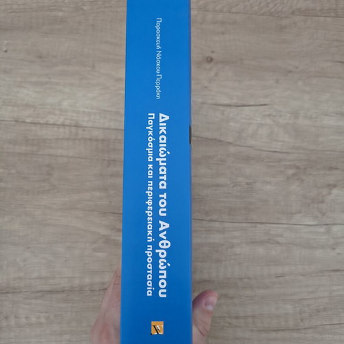 Human Rights Global and Regional Protection book like new