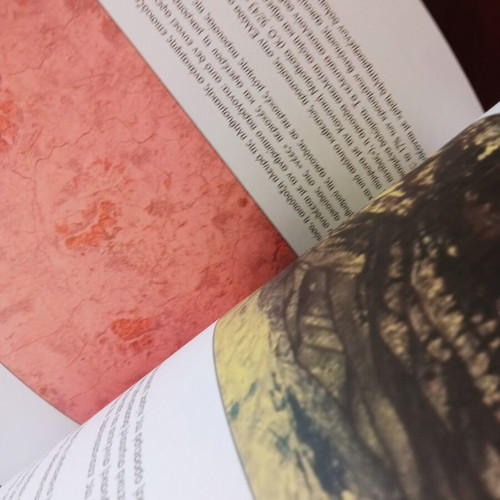 The Brown Bear used, Greek language book