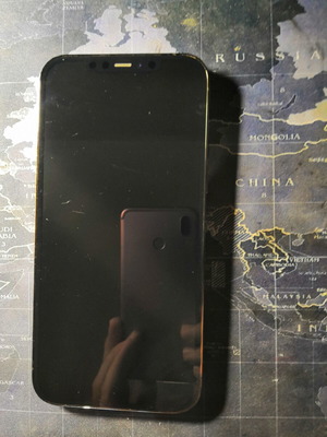 Apple iPhone 12 Pro Max 256GB, gray