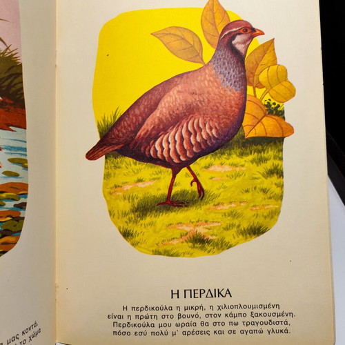 Ta Zoa Birds And Aquatic Animals new