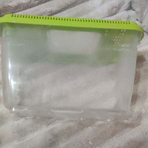 Plastic aquarium used with orange and blue gravel and accessories