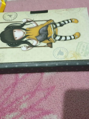 Santoro diary new