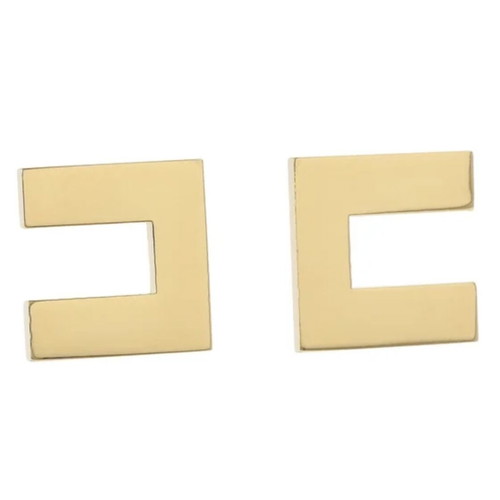 Elisabetta Franchi gold women's earrings