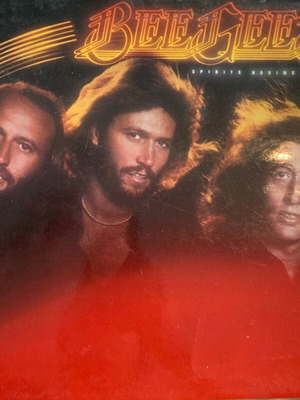ДУХОВЕТЕ НА BEE GEES СА БИЛИ ПУТУВАНИ