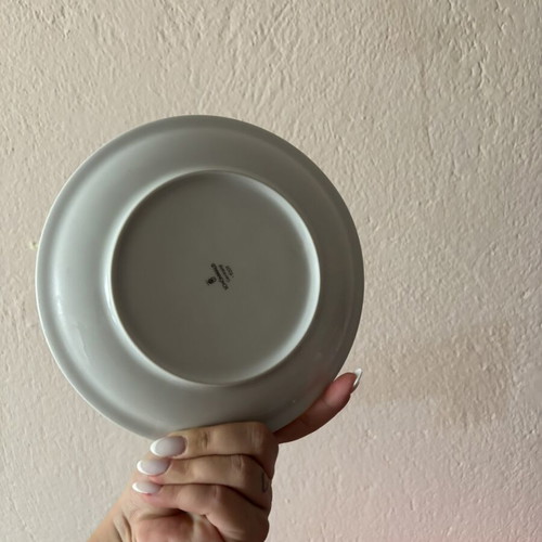Rosenthal plates, new German brand