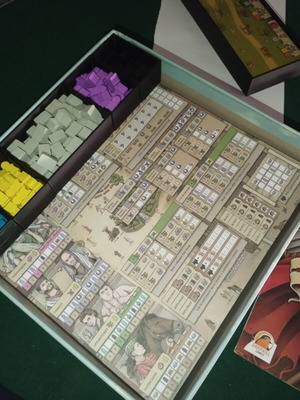 Hadrian's Wall 3D printed insert custom order