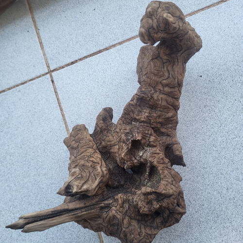Aquarium driftwood used