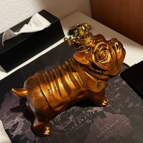 Decorative pitbull dog with crown like new, gold color