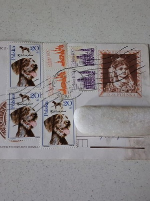 Poland 1989 commemorative postcard used, Queen Rycheza & dogs