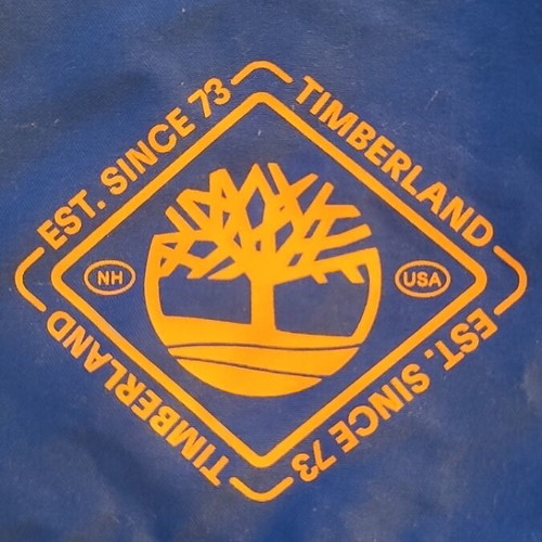 Timberland swim shorts for 10-year-olds like new, blue