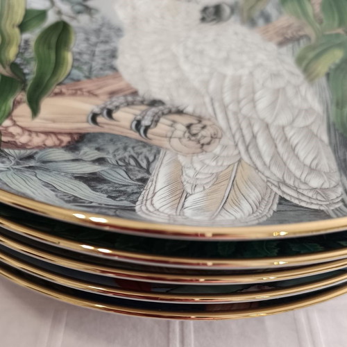 Collectible plates used, set of 5, tropical parrots, Kaiser W. Germany