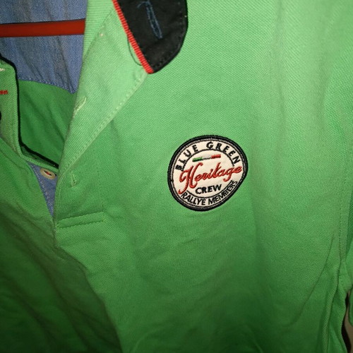 Blue Green classic polo large used, green