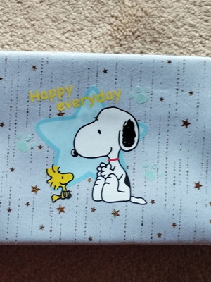 Νεσεσέρ καλλυντικών Snoopy με χρυσαφί φερμουάρ και λαβή, σχέδιο happy everyday