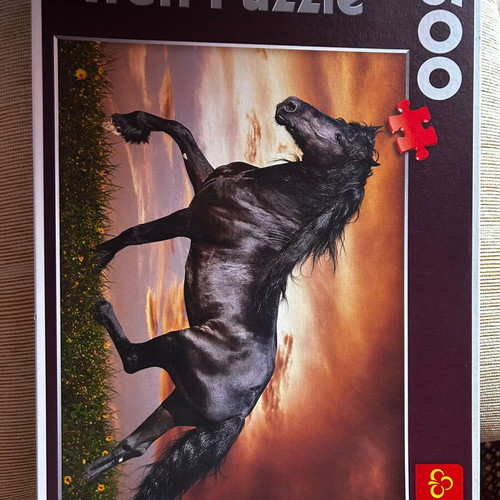 Puzzle 500 pieces new with all pieces