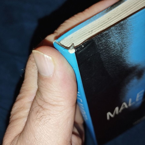 Male Nudes book by David Leddick, Taschen