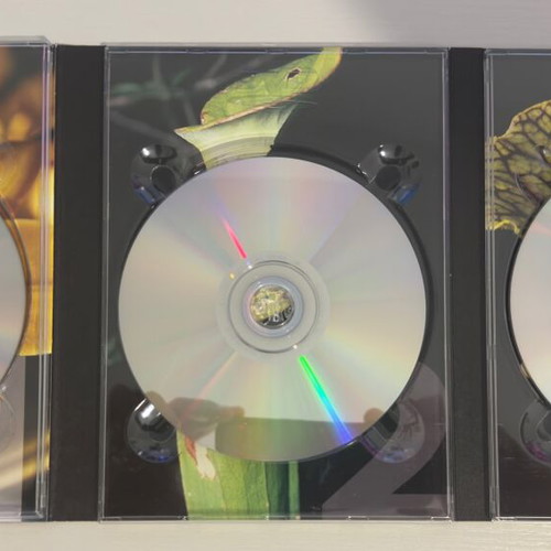 The Private Life of Plants DVD like new, dubbed, 3 discs