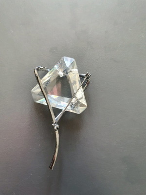 Zara pin new