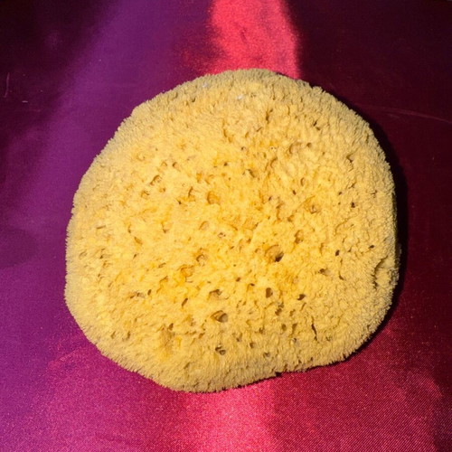 Natural sponge from Kalymnos used