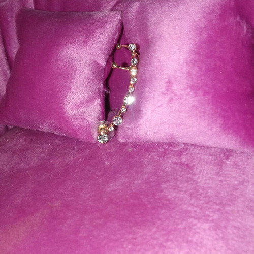 Earring for left ear new, designed to climb along the lobe