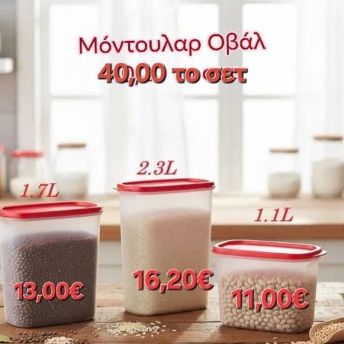 Modular Oval Set of 3 Tupperware Containers new