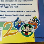 Birnbaum's Walt Disney World for Kids 2000 Millennium Edition book
