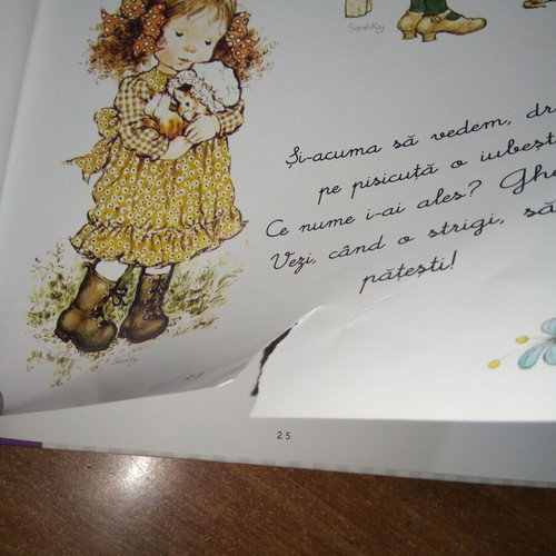 Sarah Kay album used with illustrations, Romanian language