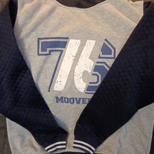 Alouette sweatshirt for 16-year-olds like new, gray and blue