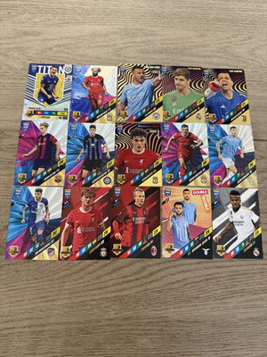 Panini FIFA 365 Adrenalyn XL 2024 Special Cards Collection, New