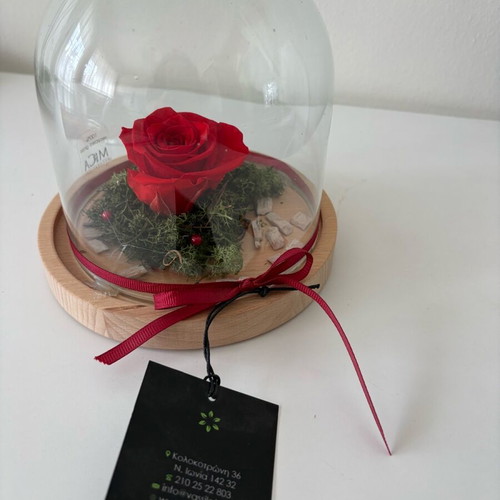 Forever Rose glass dome with rose new