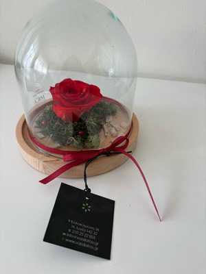 Forever Rose glass dome with rose new