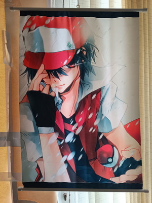 Pokémon ύφασμα αφίσα καινούργιο