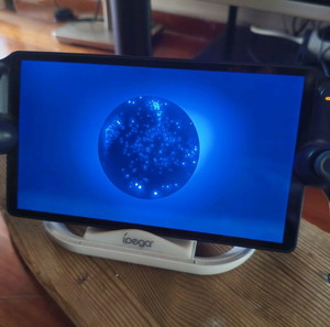 ps portal + extras