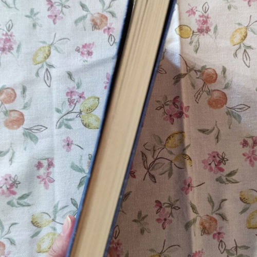 Agnoumenos (Mikrasiatiki Katastrofi 1919-1922) novel by Michail Kokkinaris