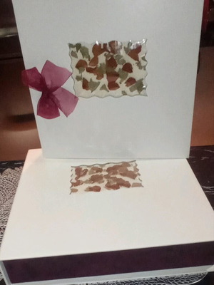 Photo album luxury new with box, 50 sheets