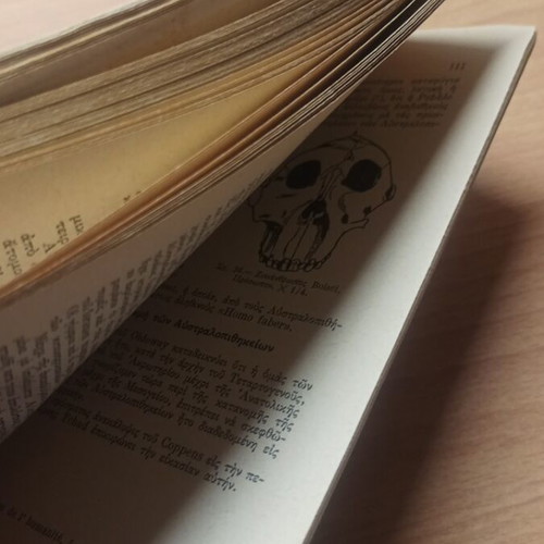 Book La Genèse de l'Humanité used, 1963 edition
