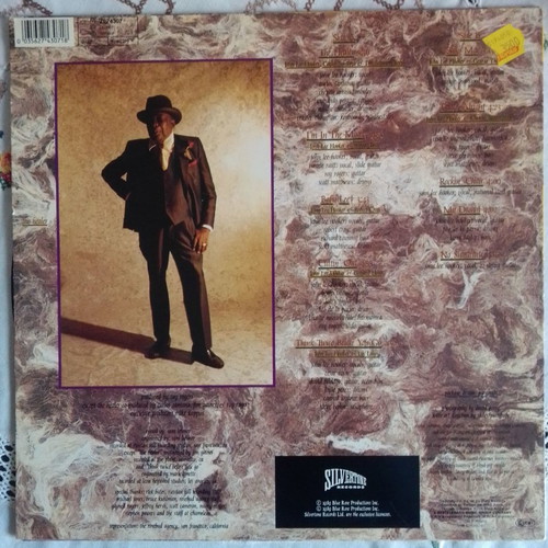 John Lee Hooker The Healer vinyl used, blues