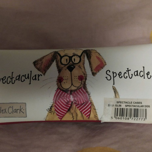 Glasses case