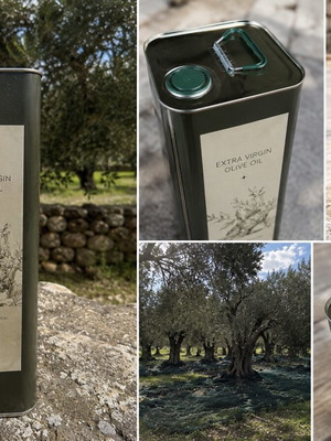 Organic Extra Virgin Olive Oil from Laconia, Greece, 20L+