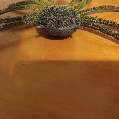 Plastic large spider like new, green