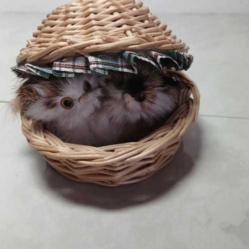 Decorative basket with cats used