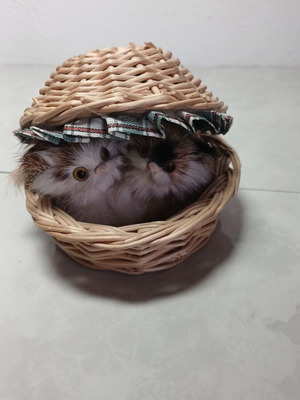 Decorative basket with cats used