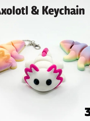 Flexi Axolotl 3D Printed Keychain new, articulated and flexible