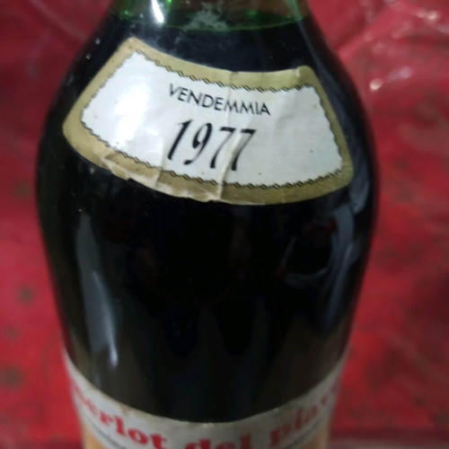Merlot wine 1977