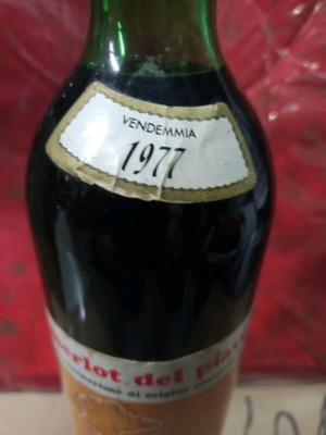 Merlot wine 1977