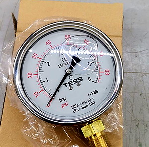 TESS GAUGE A. 100D, 0-6 BAR/PSI - 1/2" BSP. BM
