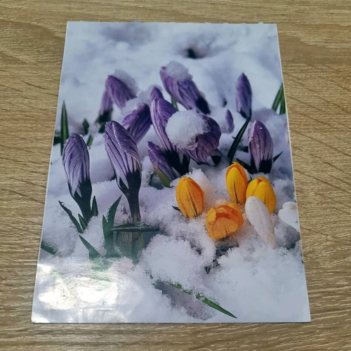 Color postcards like new, pack of 3