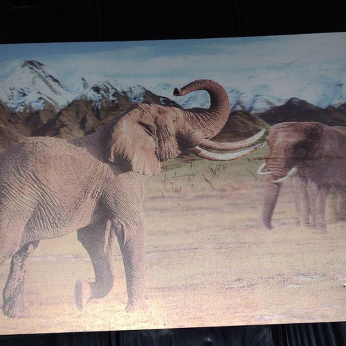 3D Decorative Wall Art with African Elephants Effect 39x29cm like new