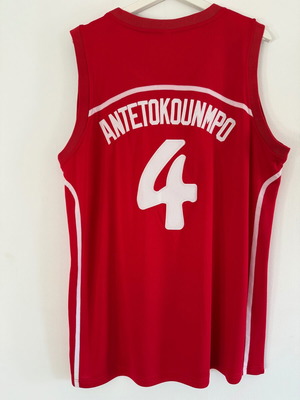 Φανέλα-Εμφάνιση Φιλαθλητικός Ο.Α. Ζωγράφου Giannis Antetokounmpo μέγεθος Large καινούργιο επίσημο αντίγραφο
